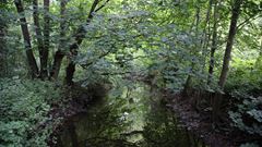 Natura 2000: Området ved Køge Å, hvor den nye bane løber igennem, er et populært turområde