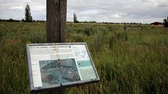 Skovrejsning i Landsbyskoven i Ishøj.