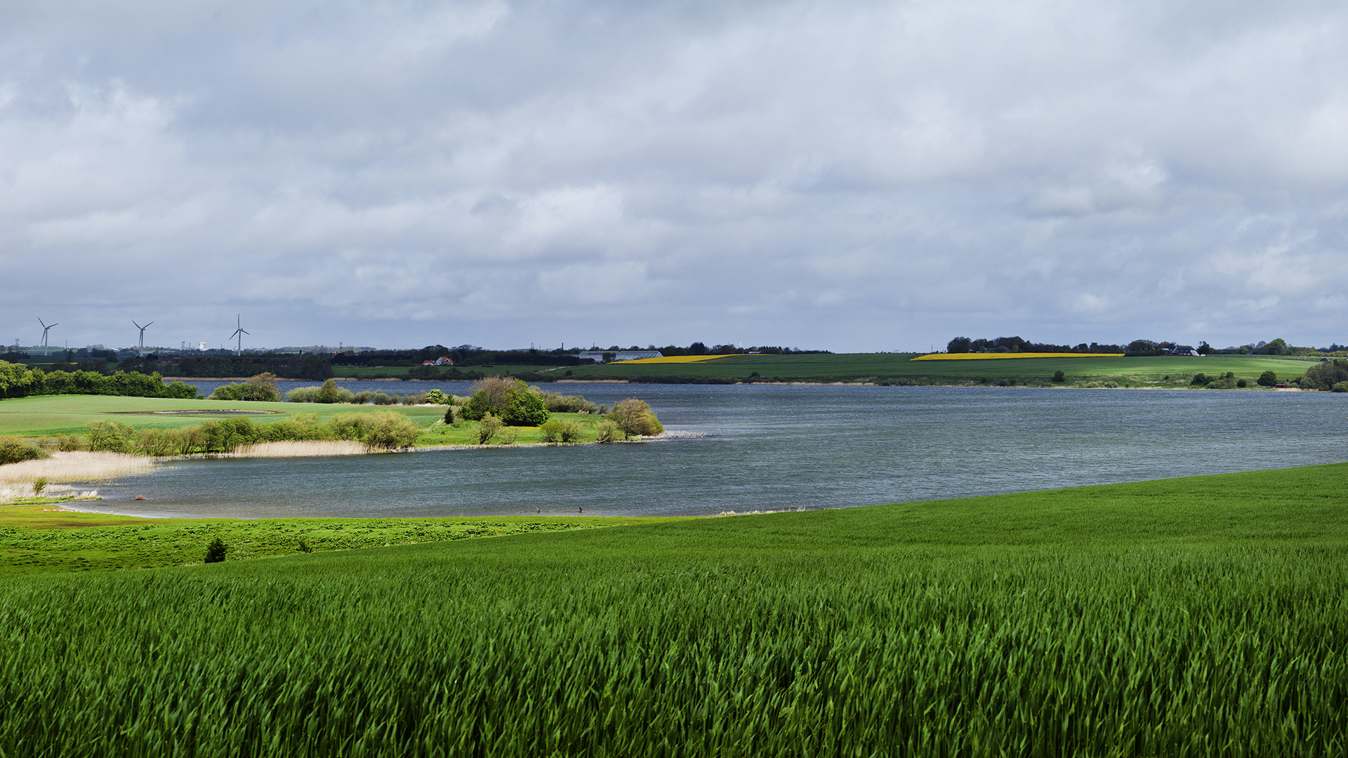 Mose ved Astrup
